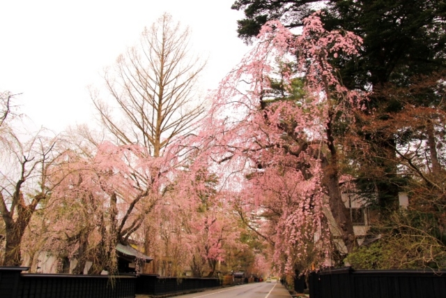 f:id:iwasan1go:20160422065714j:image