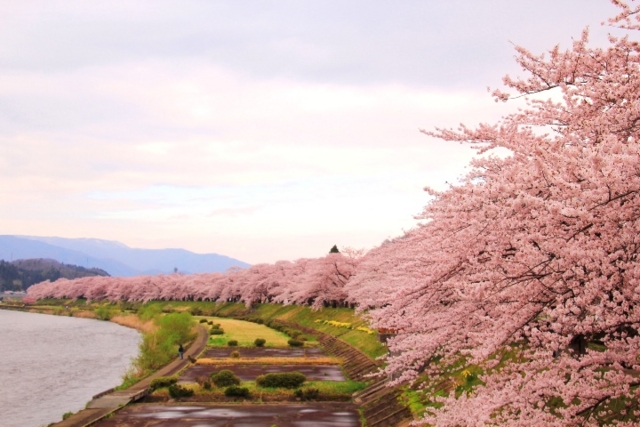 f:id:iwasan1go:20160422072348j:image