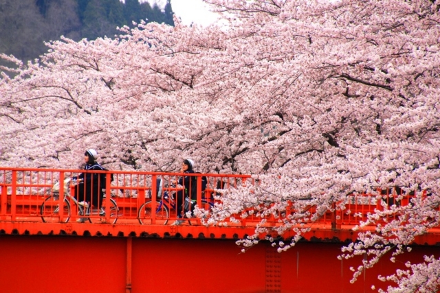 f:id:iwasan1go:20160422073352j:image