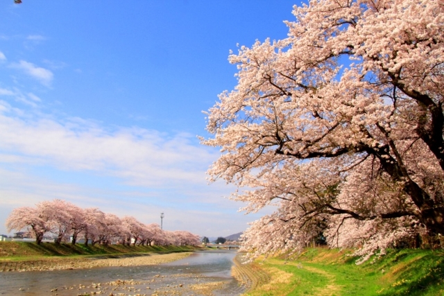 f:id:iwasan1go:20160422085555j:image