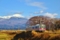 701系