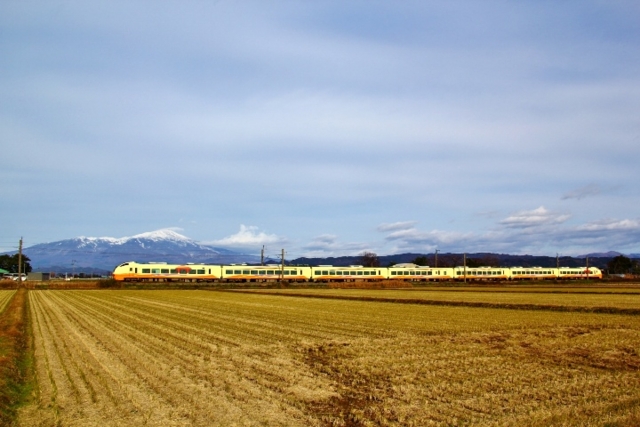 E653系いなほ