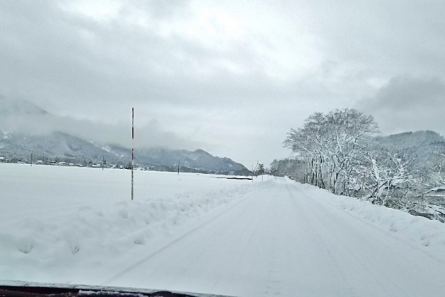 f:id:iwasan1go:20161216102501j:image