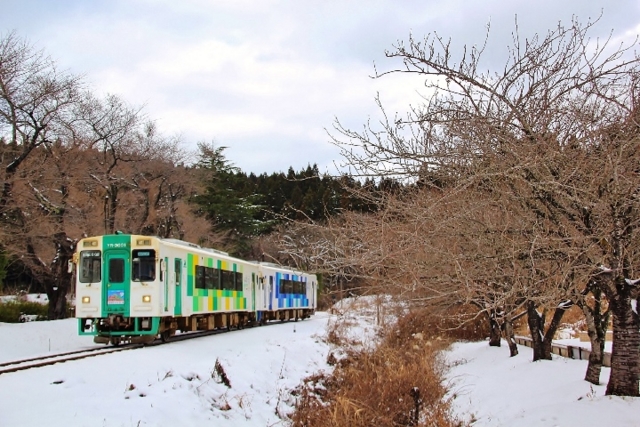 f:id:iwasan1go:20170107120144j:image