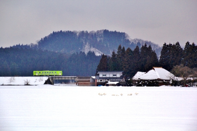 f:id:iwasan1go:20170206110524j:image