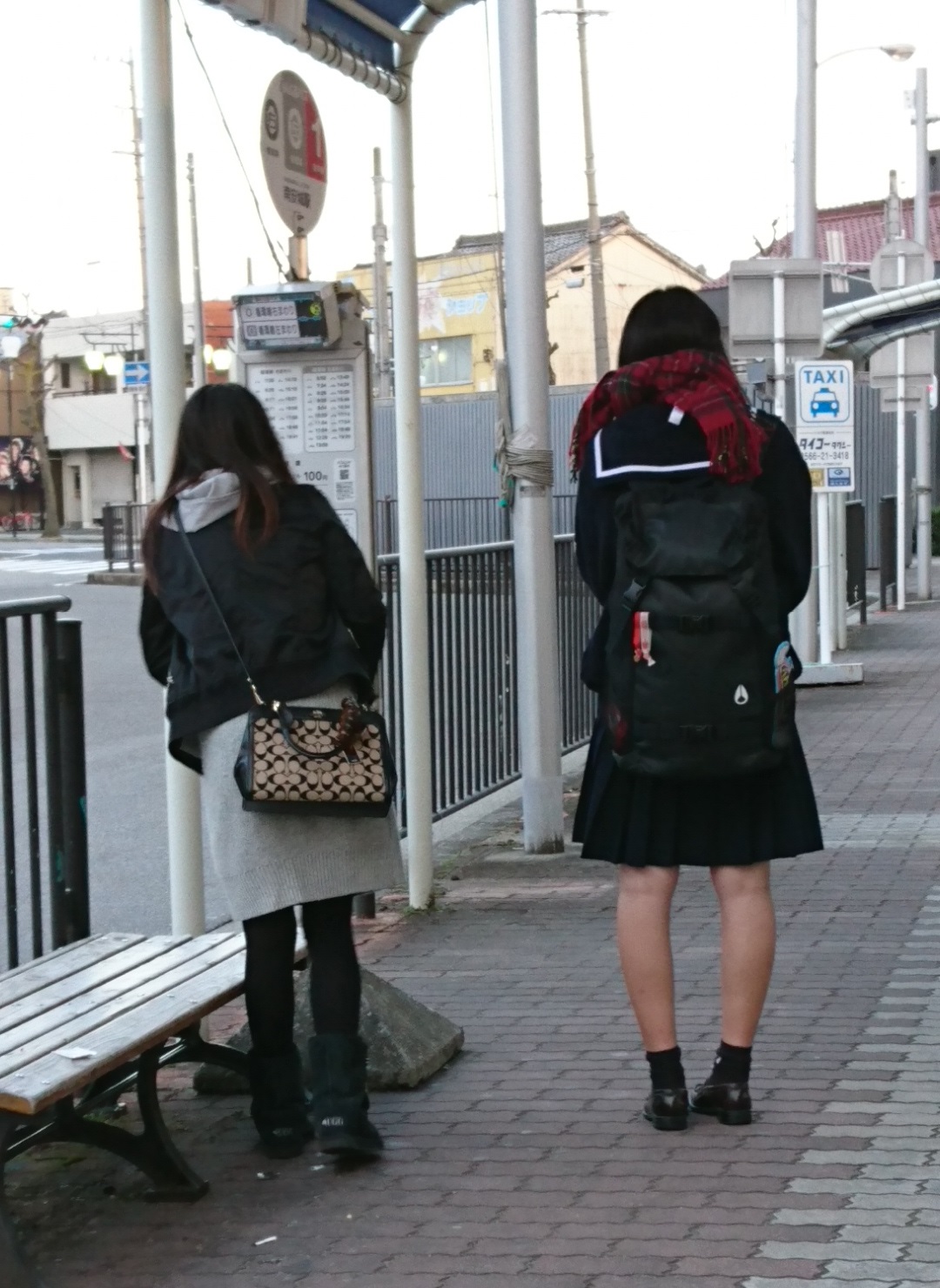 2016.12.9 あさ (3) みなみあんじょう 1080-1480