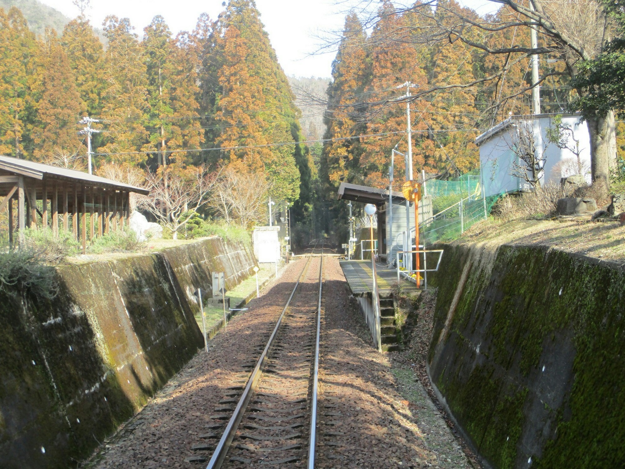 2019.3.1 (82) 樽見いきふつう - 鍋原(なべら) 2000-1500