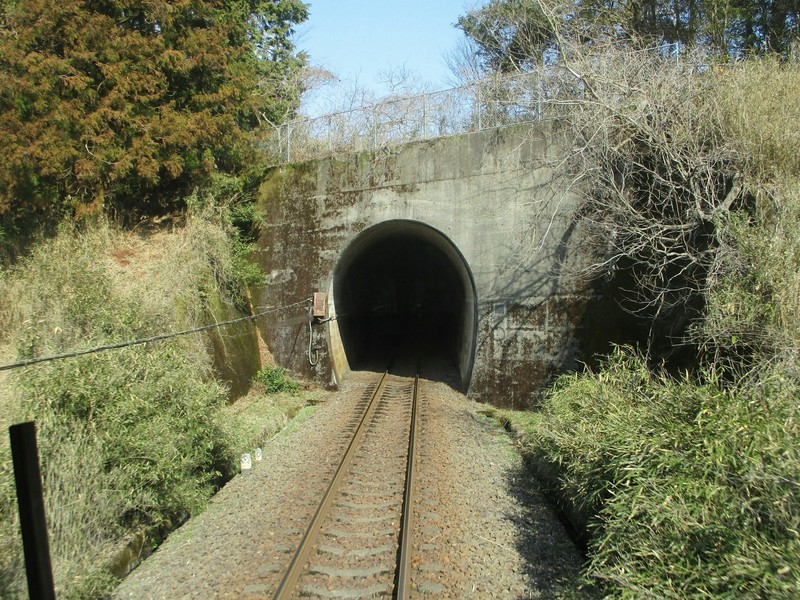 2019.3.1 (98) 樽見いきふつう - 日当高尾間(トンネル) 1800-1350
