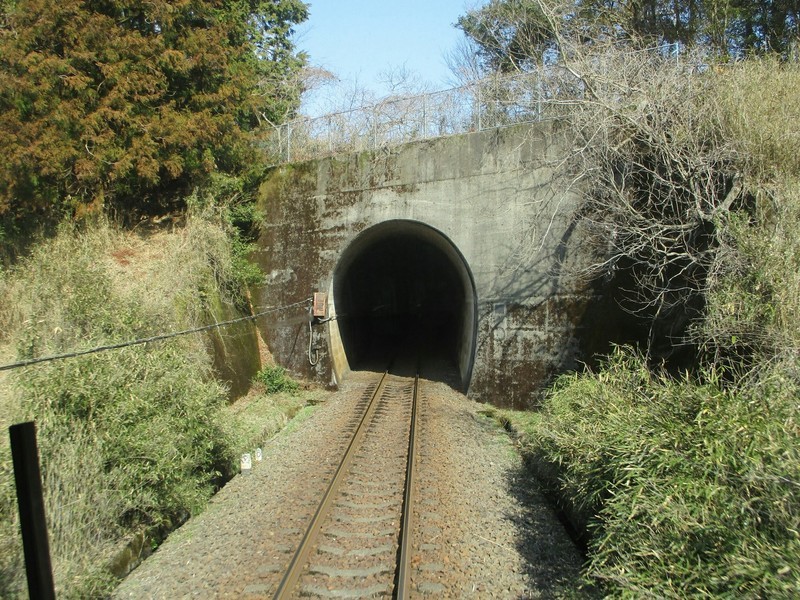 2019.3.1 (98) 樽見いきふつう - 日当高尾間（トンネル） 1800-1350