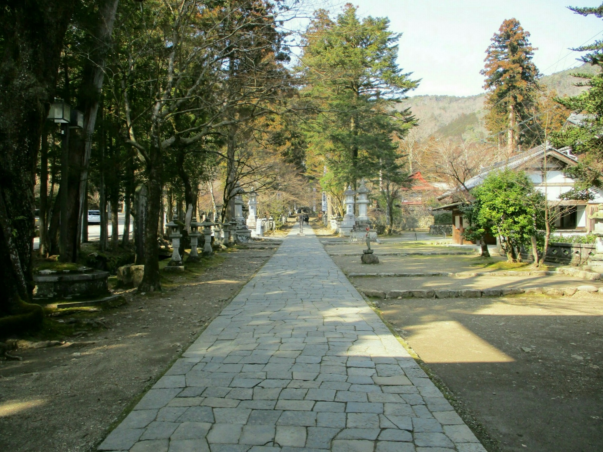 2019.3.1 (157) 谷汲山華厳寺 - 境内参道 2000-1500