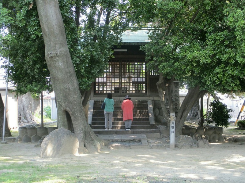 2019.6.20 (22) 大神社 - 拝殿 2000-1500