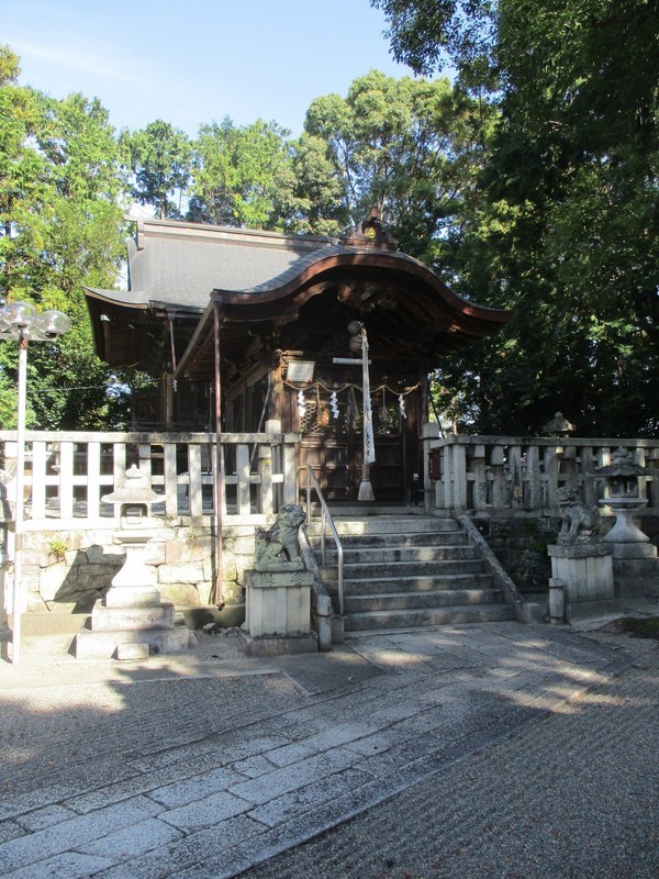 2019.11.7 (113) 八日市 - 中野神社 1500-2000