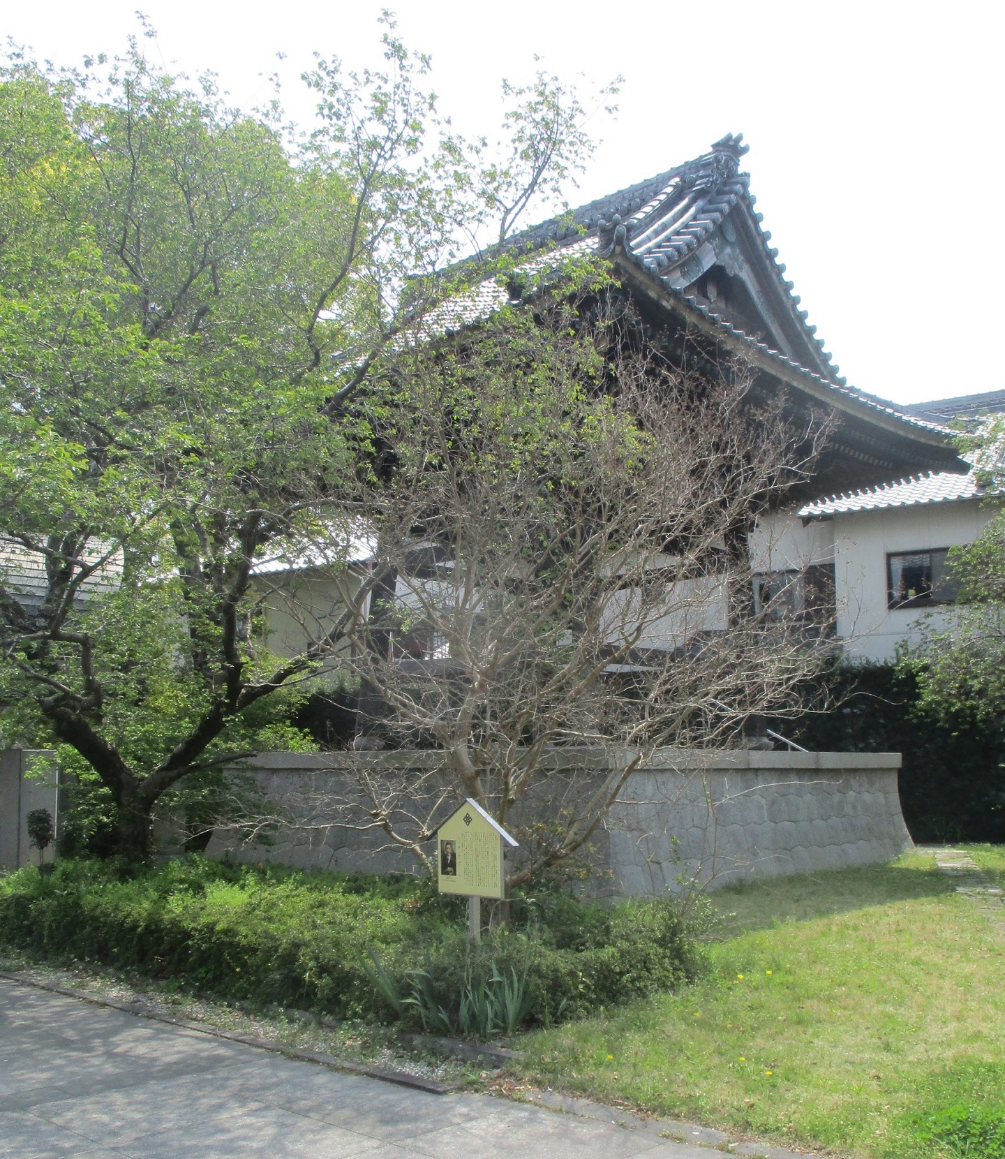 2020.4.16 (8) 上宮寺 - ふだんざくらとさるすべり 1440-1660