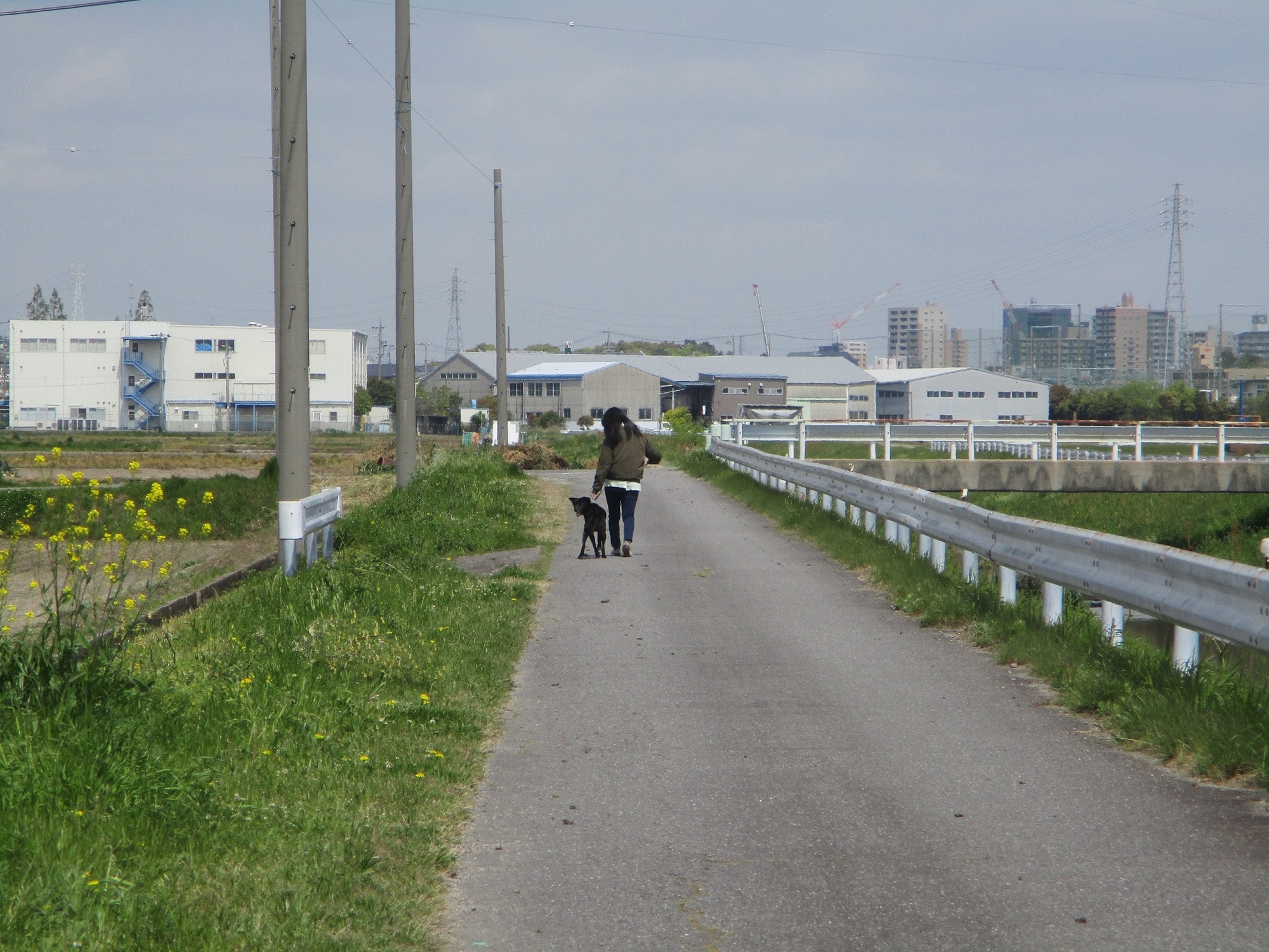 2020.4.23 (6) ふるい - 勢井前川（せいまいがわ） 2000-1500
