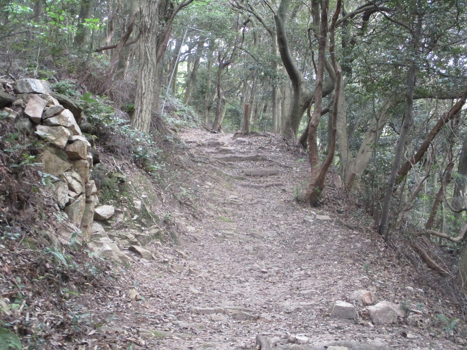 2020.4.26 (5) 羽角山 - 四国88か所霊場 1600-1200