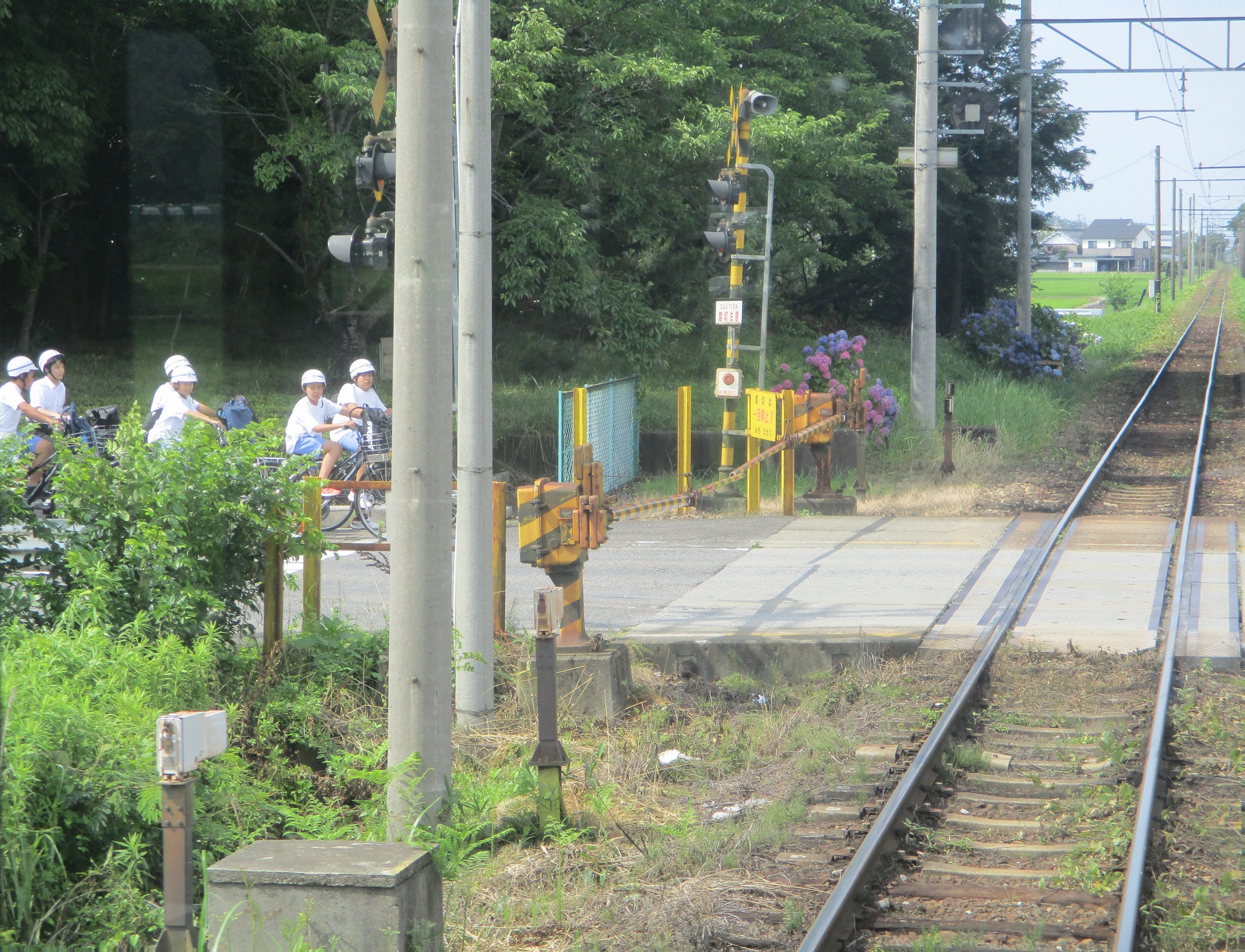 2020.7.1 (128) 米原いきふつう - 大学前てまえ 1960-1500
