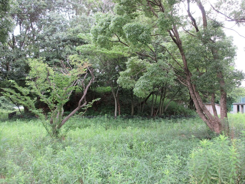 2020.7.23 (2) 大友皇子のはか(きためん) 1600-1200