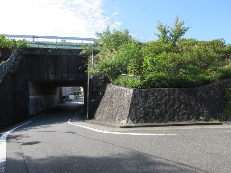 2020.10.20 (13) 愛知用水をみあげる 1600-1200