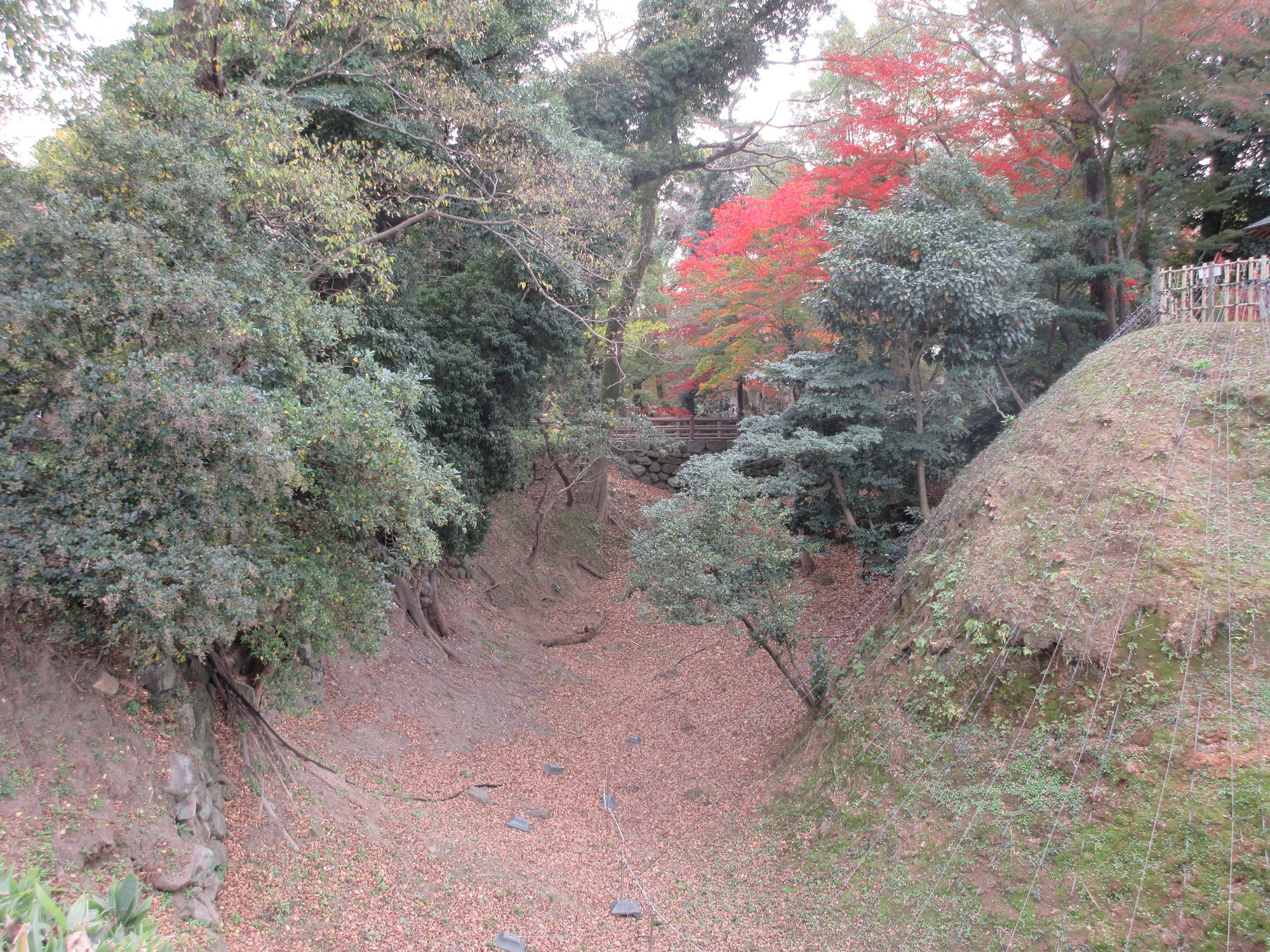 2020.11.29 (57) 岡崎城 - 北堀 2000-1500