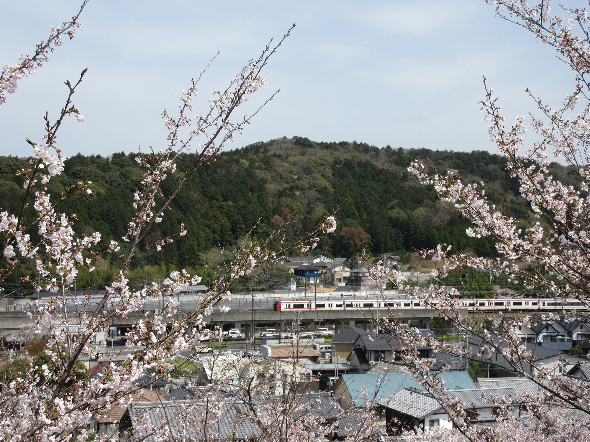 2021.3.29 (28) 桜山 - 新鵜沼いき快速特急（こおろぎ特急） 2000-1500