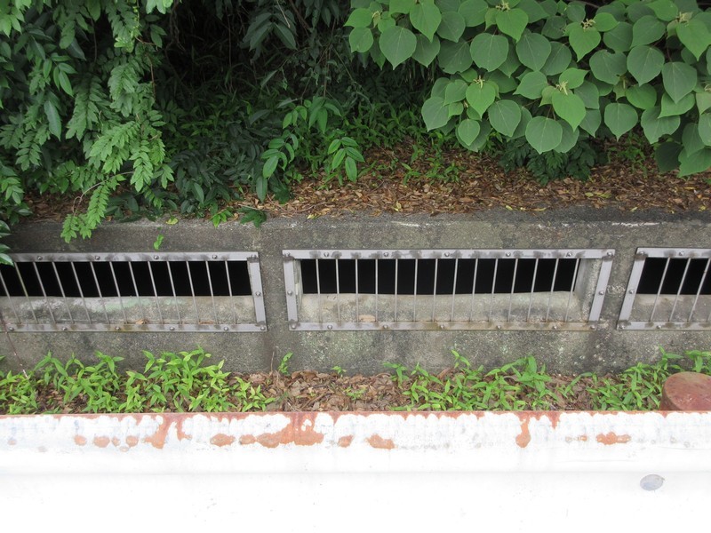 2021.5.24 (44) 天白町 - 占部用水 1600-1200