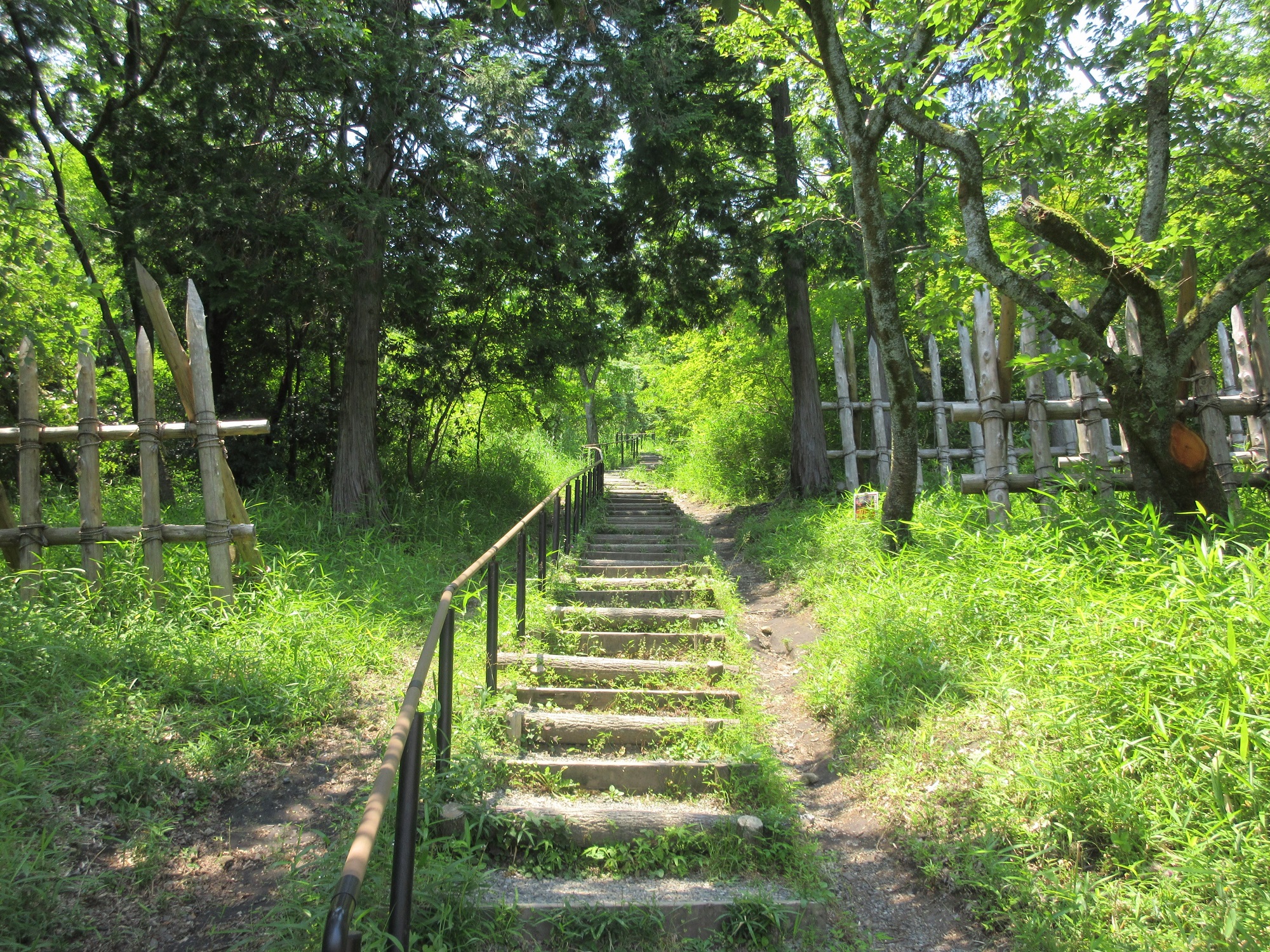 2021.6.10 (77) 島左近陣地から石田三成陣地え 2000-1500