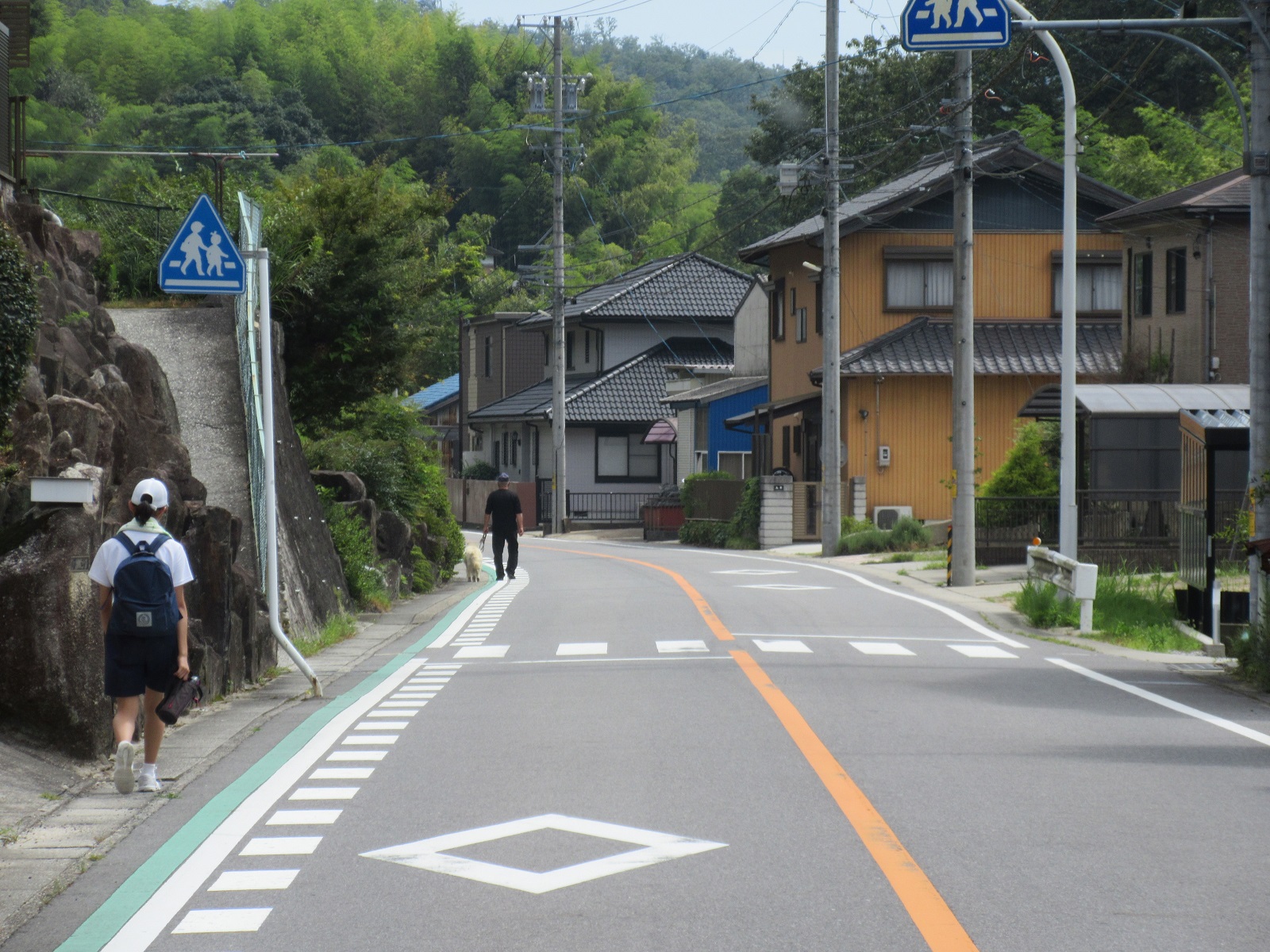 2021.7.27 (52) 大沼いきバス - 大井野口下米河内間 1600-1200