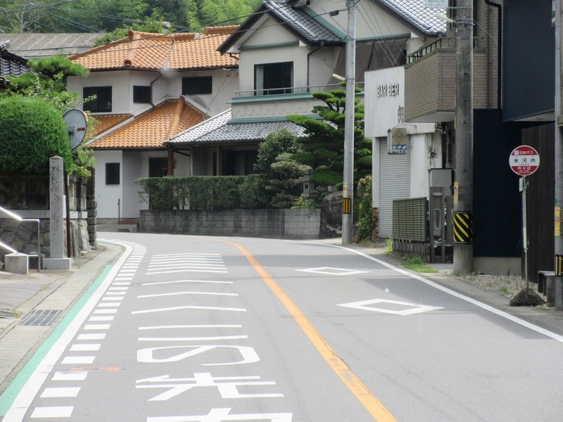 2021.7.27 (54) 大沼いきバス - 米河内バス停 1600-1200
