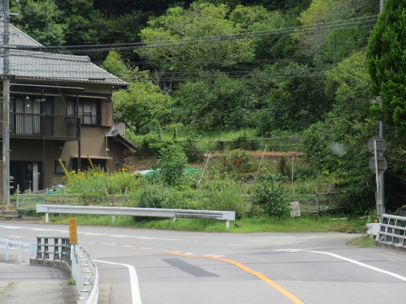 2021.7.27 (55) 大沼いきバス - 米河内上米河内間(弥勒橋) 1600-1200