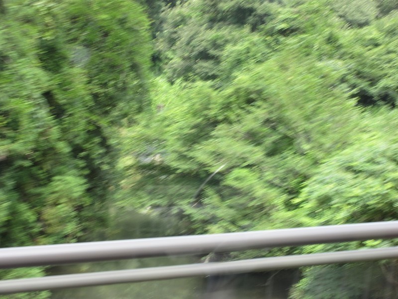 2021.7.27 (70) 大沼いきバス - 長沢下山口間(新長沢橋) 1200-900