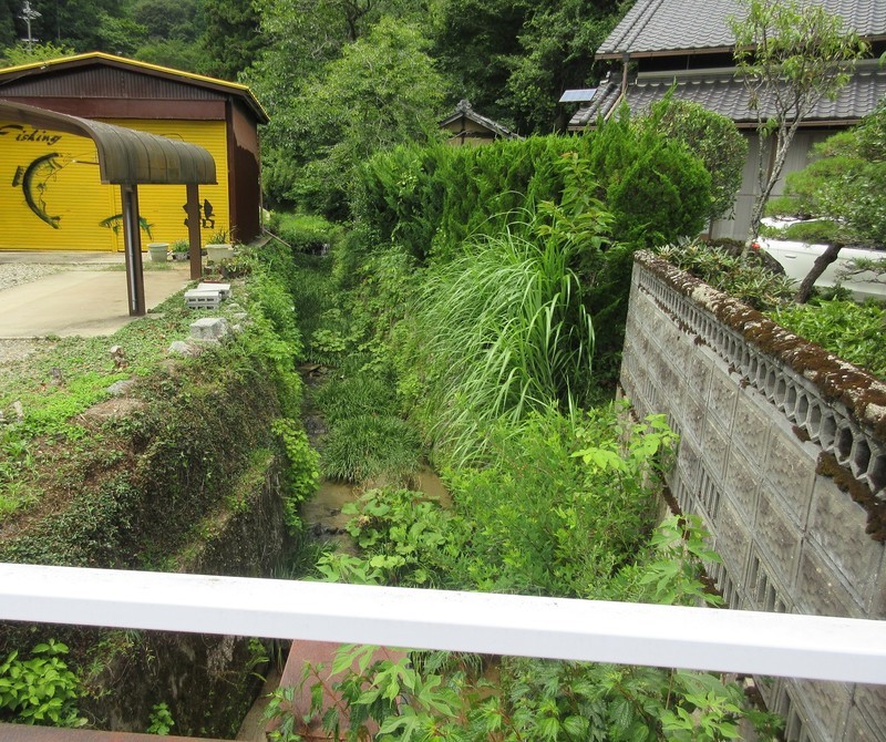 2021.7.27 (115) 大沼 - 郡界川支流 1420-1190