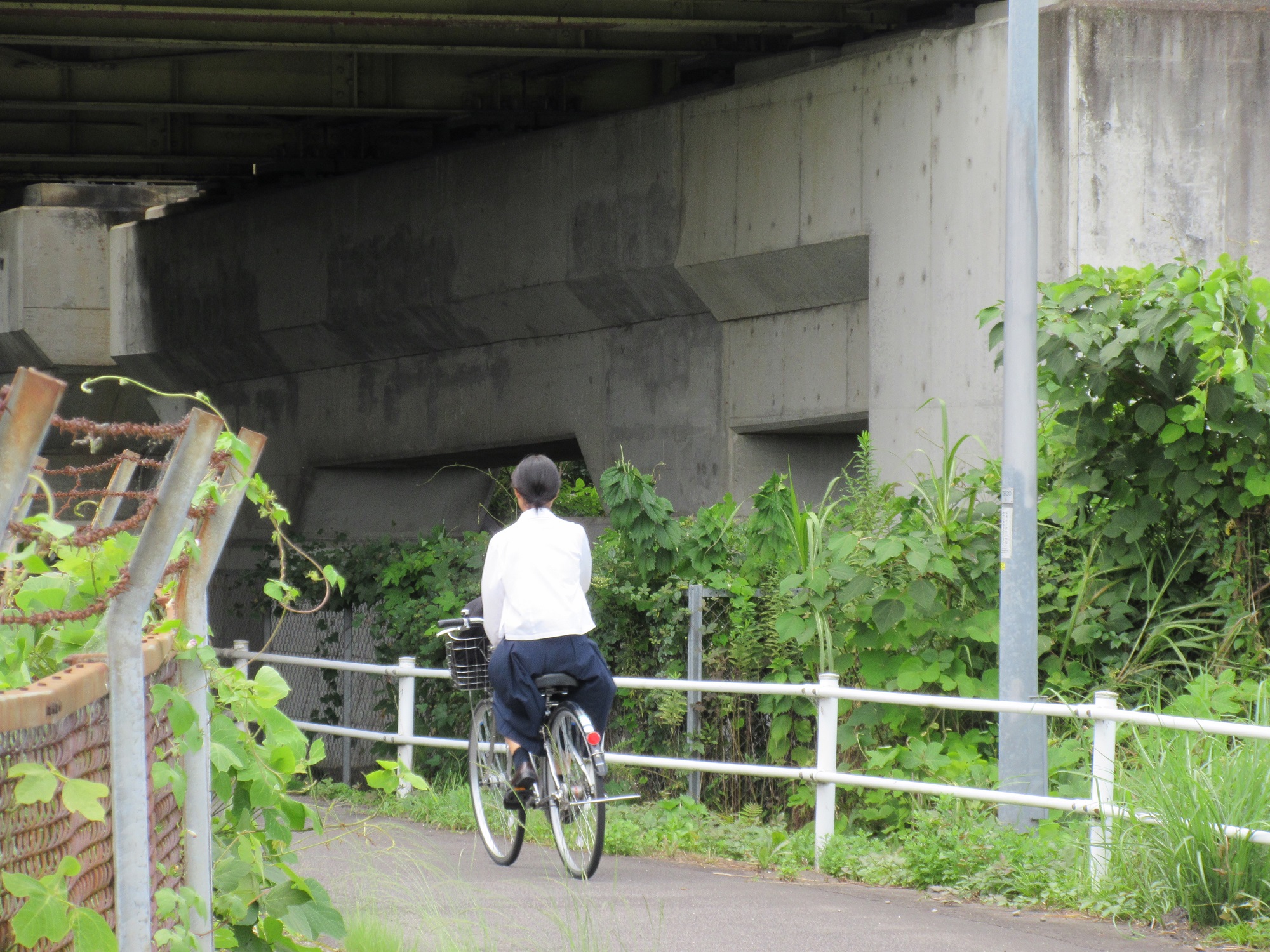 2021.8.26 (17) 鴛鴨町上葭池 - 明治用水(めいじようすい) 2000-1500
