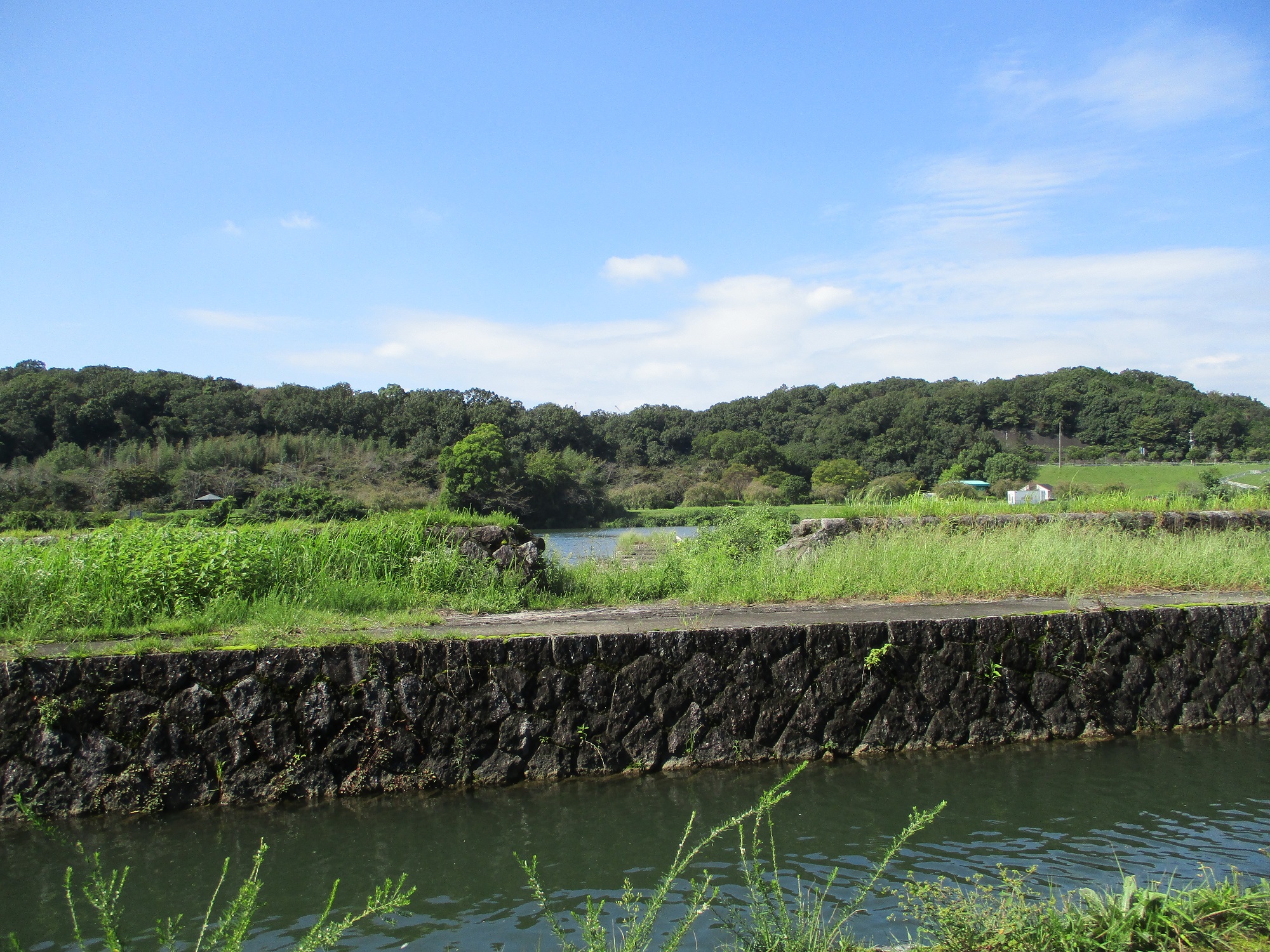 2021.9.20 (16) 矢作川東岸 - 明治用水ふなとおし 2000-1500