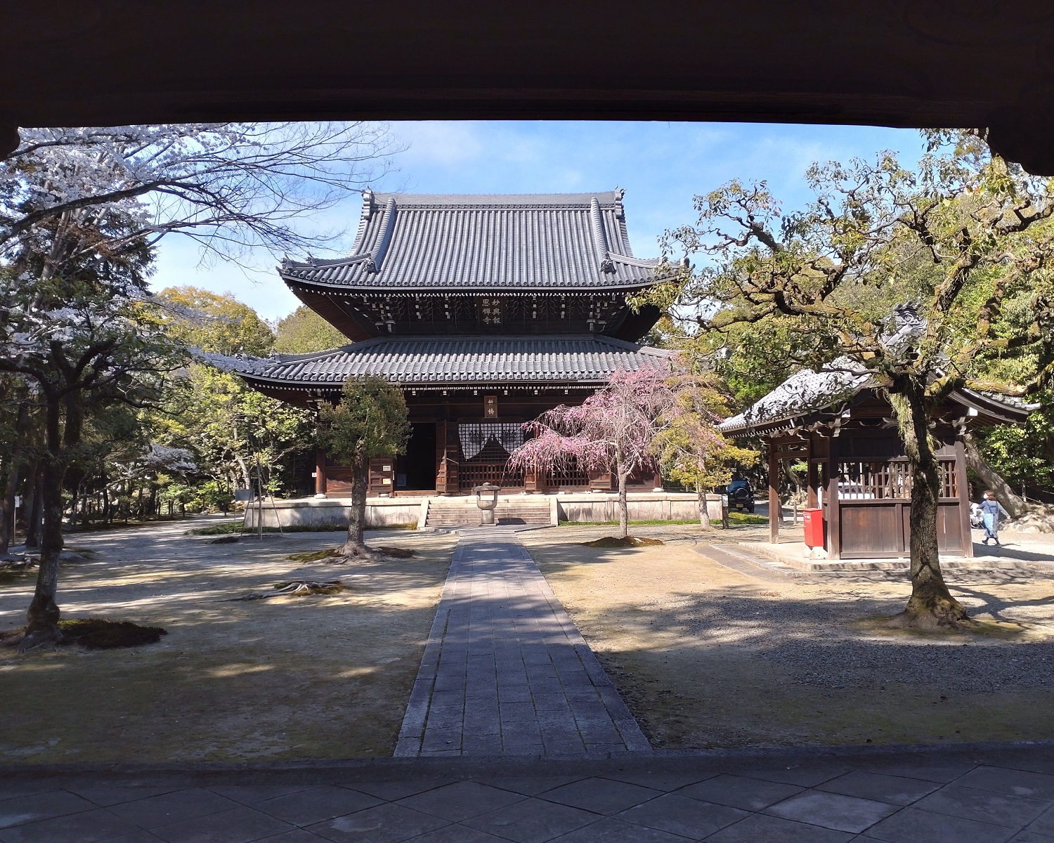 2022.4.1 (23あ) 妙興寺 - 仏殿 1500-1200