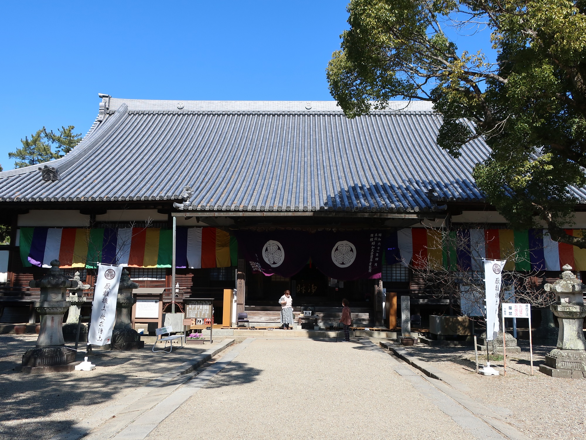 2023.2.28 (74) 大樹寺 - 本堂 2000-1500
