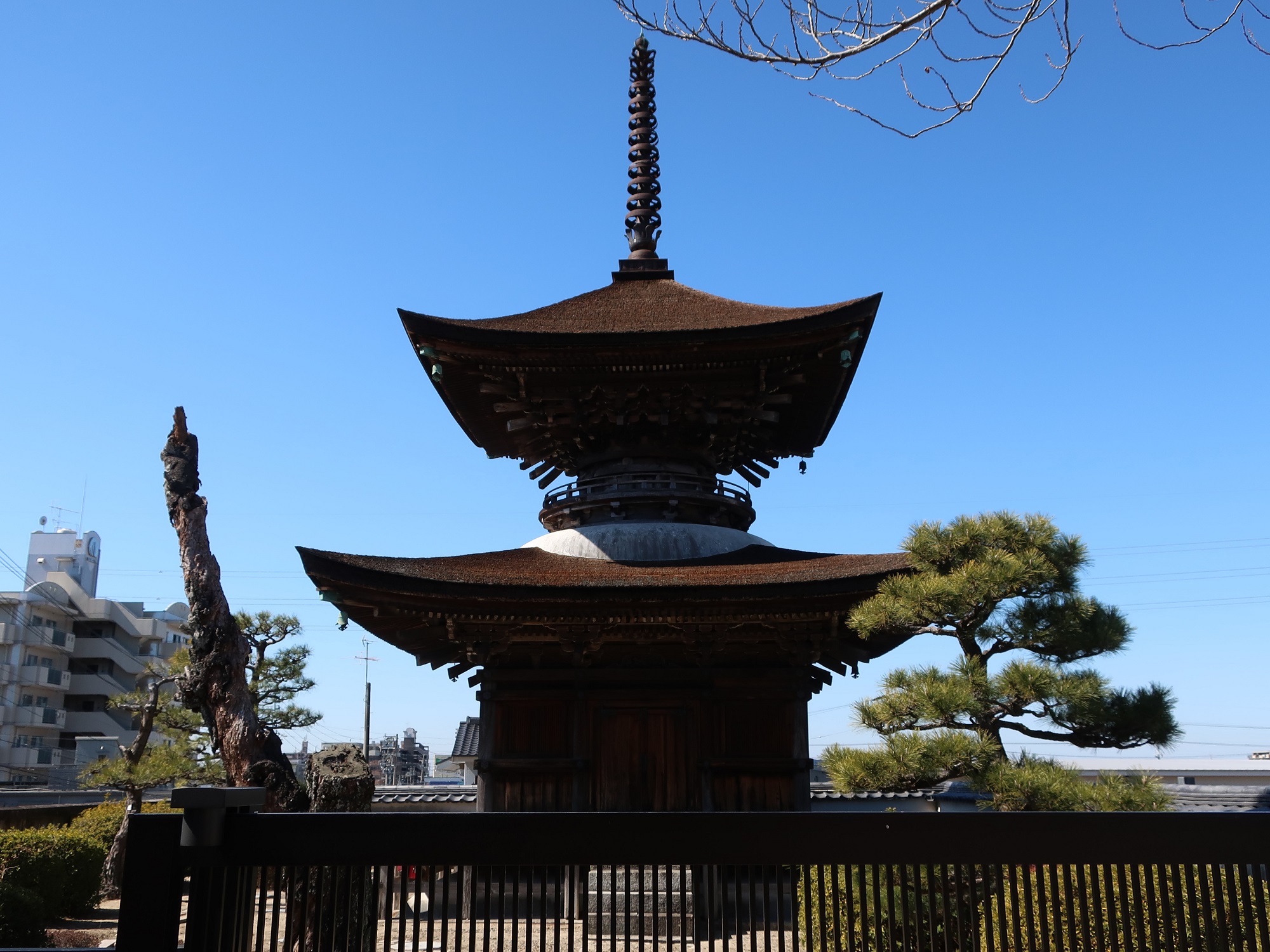 2023.2.28 (77) 大樹寺 - 多宝塔 2000-1500