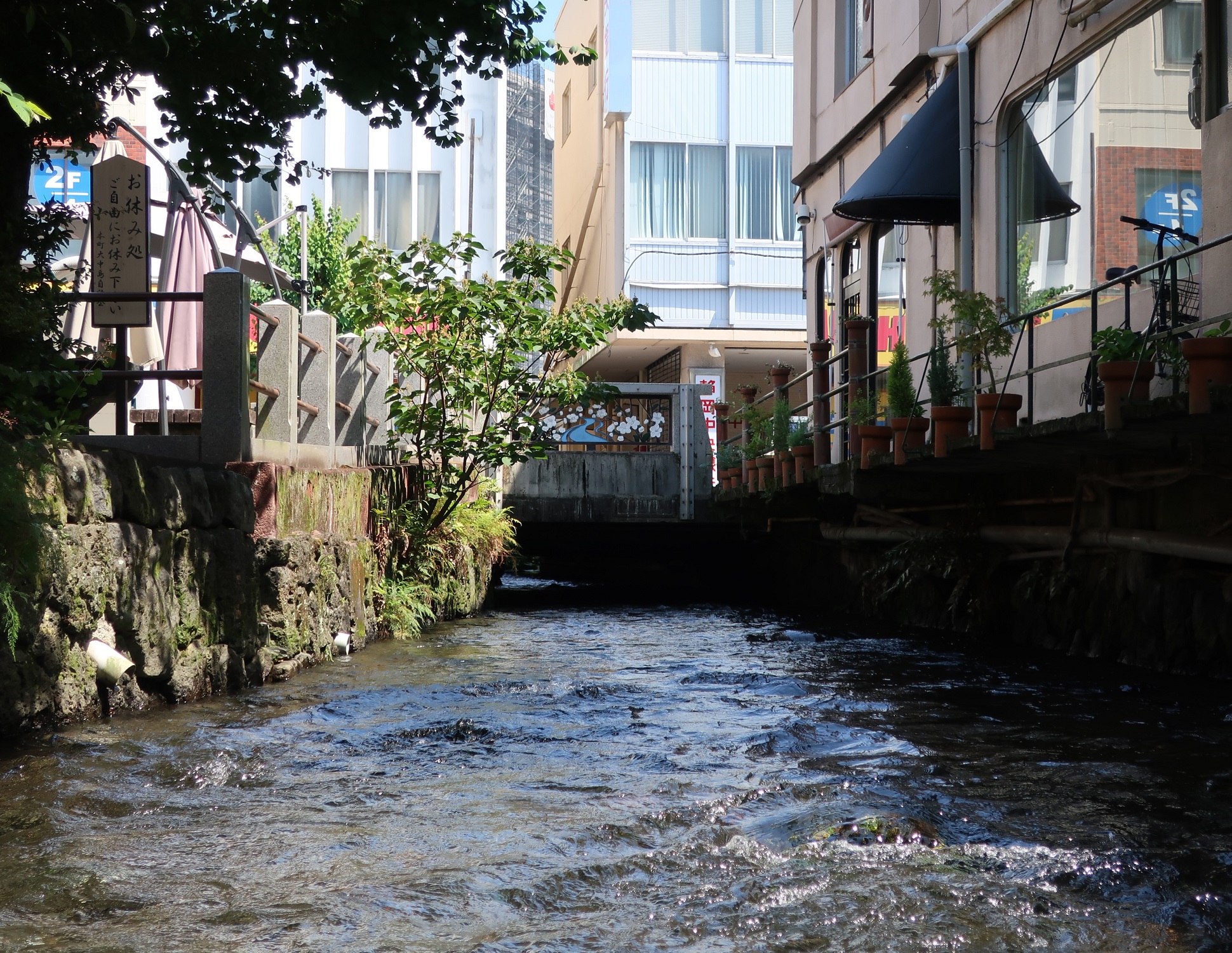 2023.7.17 (42) 三島 - せせらぎ 1940-1500