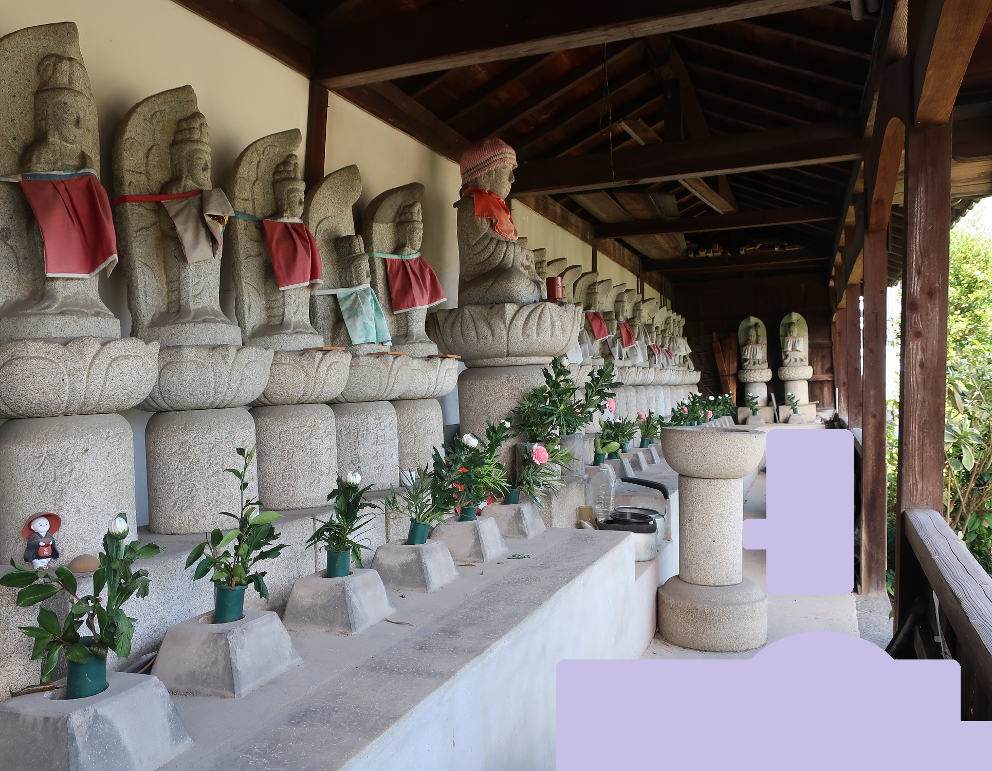 2023.9.3 (3) 法蔵寺 - 三十八観音堂 1930-1500