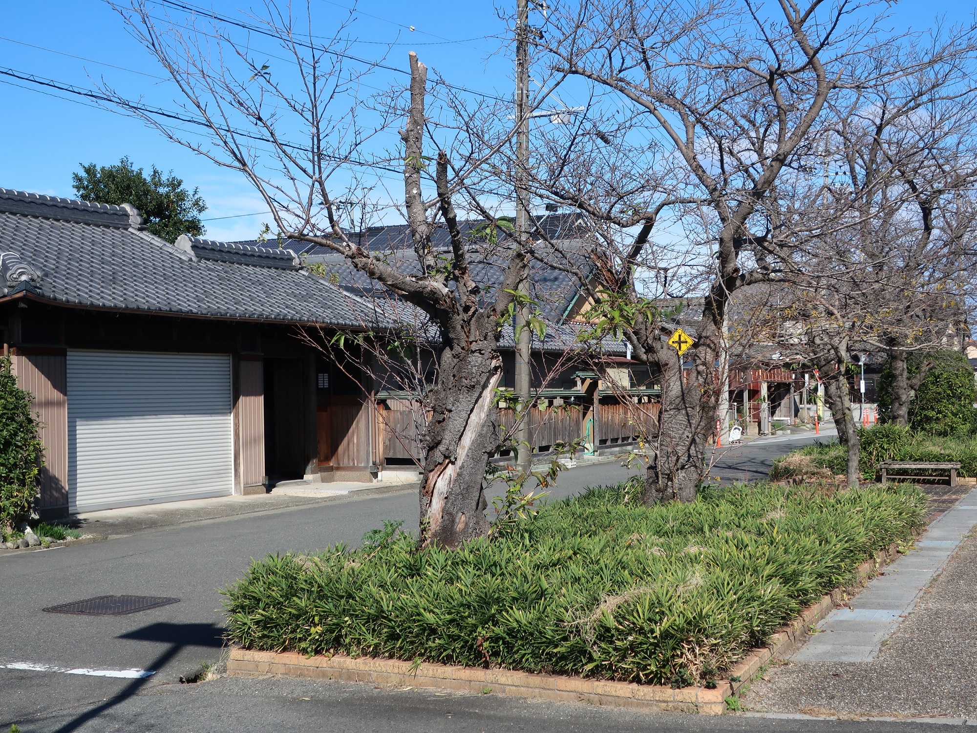 2023.11.13 (35) 美濃路 - 長束緑道 2000-1500