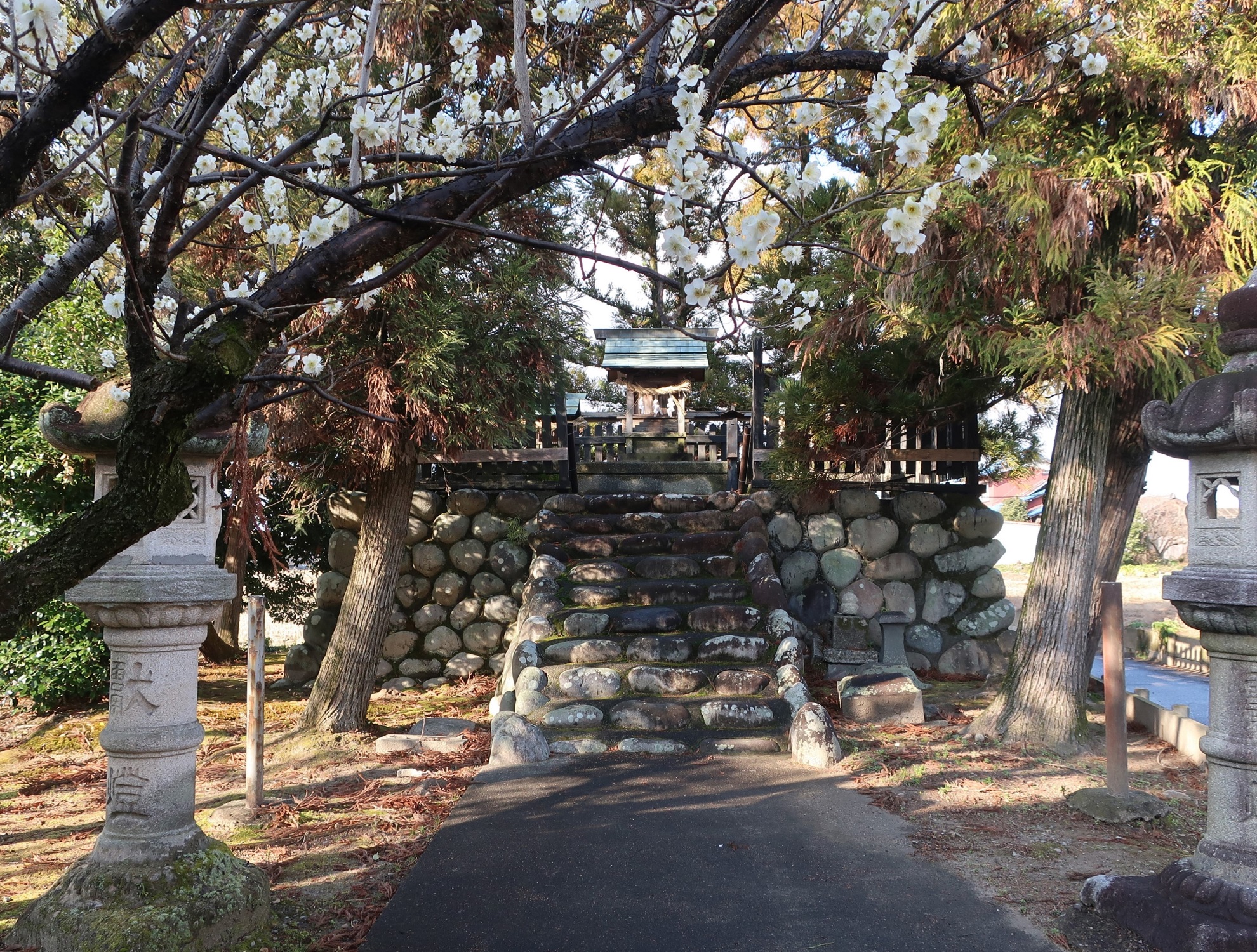 2024.2.12 (29) みのじ - もとまちてんまんじんじゃ 1980-1500