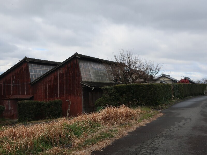 2024.2.12 (50) みのじ - さかいがわぞいのこぎりやね 1600-1200