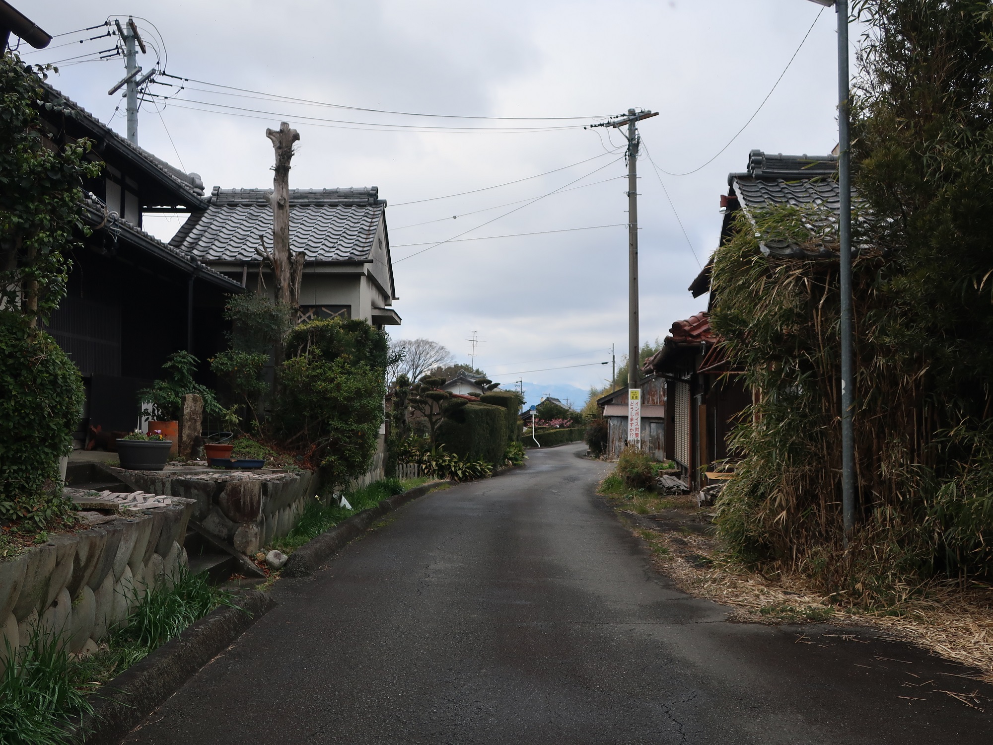 2024.2.12 (54) みのじ - ひがしおぐま 2000-1500