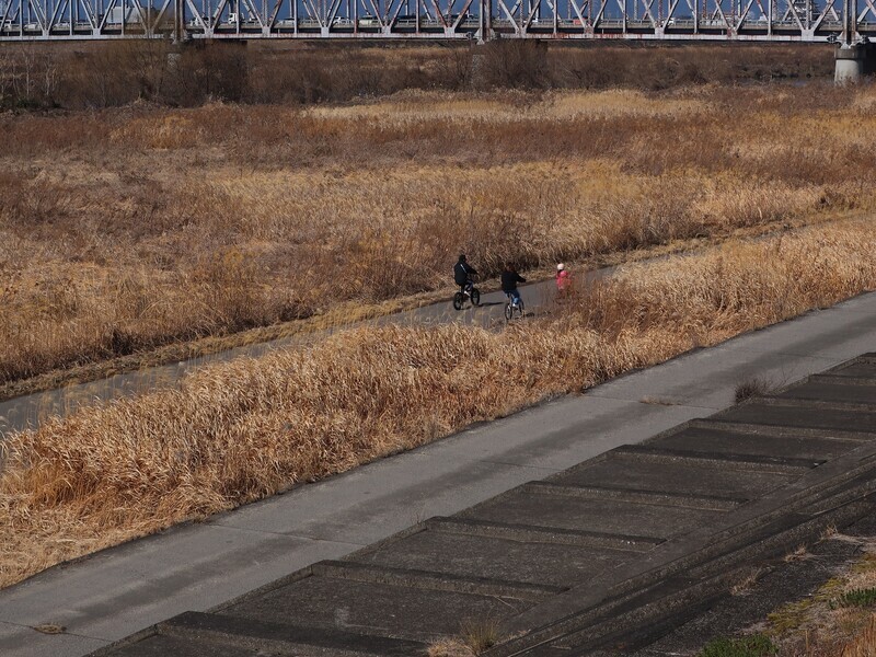 2024.2.12 (77) ちゃやしんでん - ながらがわ 1600-1200