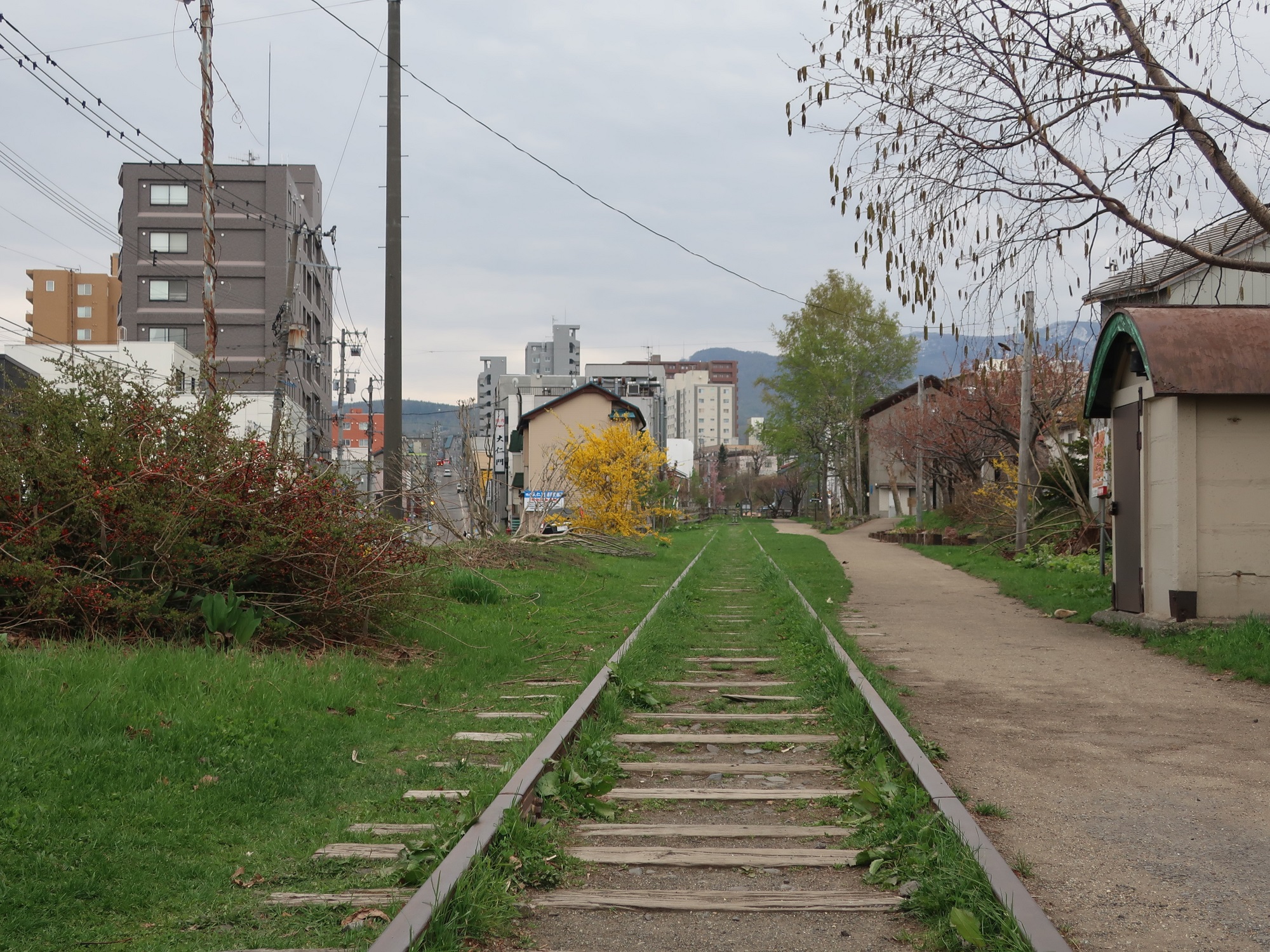 2024.4.30 (138) てみやせんあとち 2000-1500