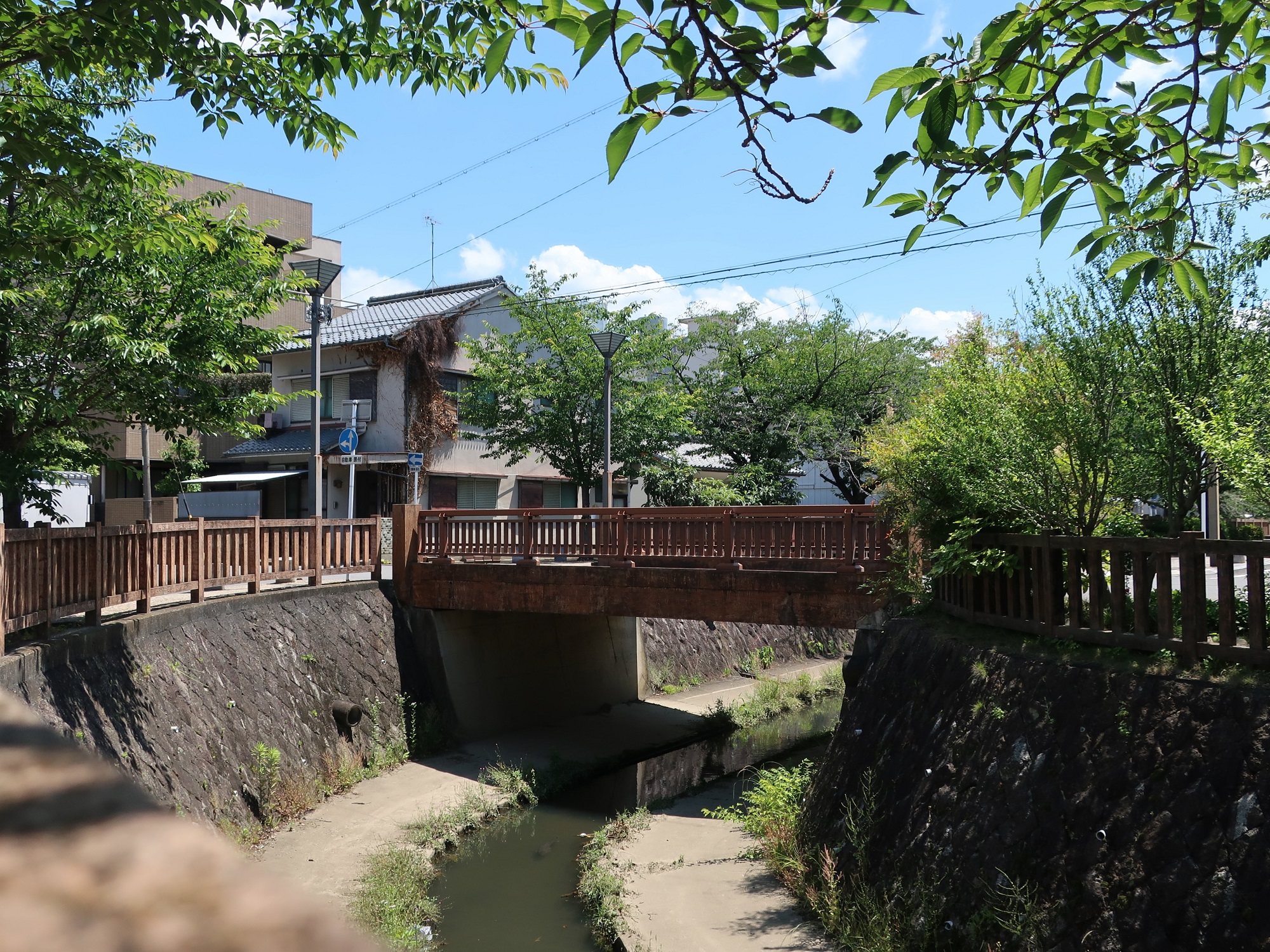 2024.6.3 (62) おおがきじゅく - うしやがわじないばし 2000-1500