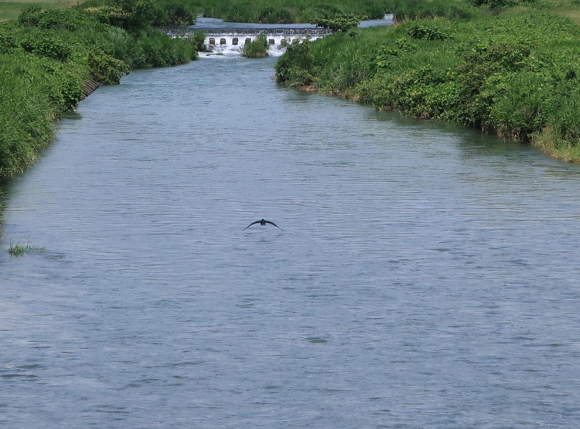2024.6.24 (28) あいかわ - う 2000-1480