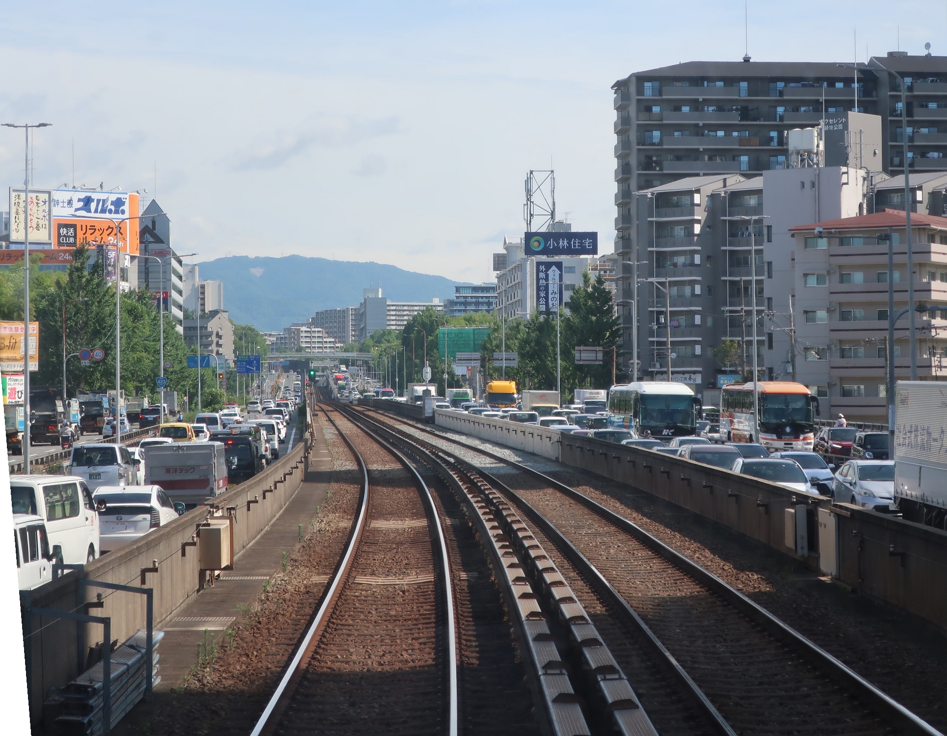 2024.7.8 (15) りょくちこうえんももやまだいかん 1930-1500