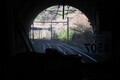 2024.11.25 (72) なかつがわいきふつう - 53とりいとんねるで 1800-1200