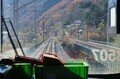 2024.11.25 (79) やぶはらみやのこし（きそがわ） 1800-1190