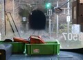 2024.11.25 (90) なかつがわいきふつう - 45やざきとんねる 1680-1200